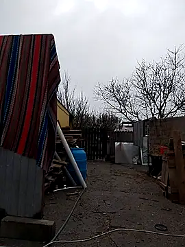 Snapshot of sarpe4 chatting on November 9, 8:56 am sarpe4 online show from November 9, 8:56 am