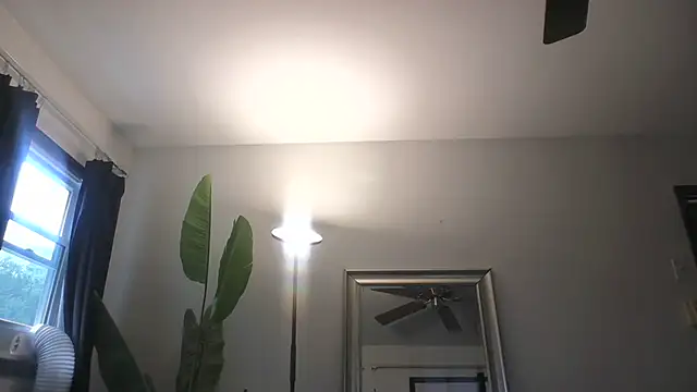 WetFlower69 online show from July 29, 1:42 pm