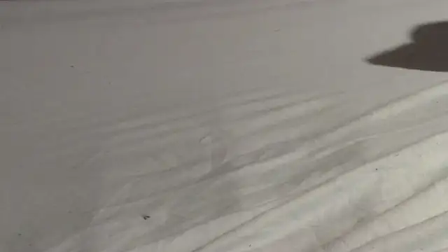 Vandrino online show from March 15, 3:07 am