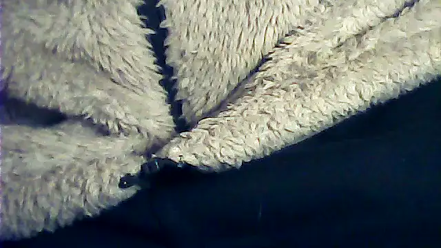 kalinixta online show from January 6, 6:44 pm