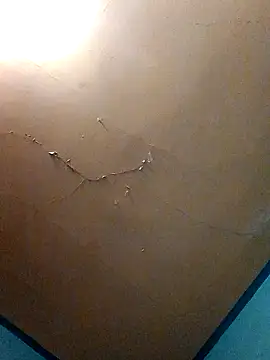 Bwc4u2Ride online show from December 5, 8:45 am