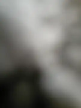 Snapshot of NiceHunter89 chatting on September 15, 2:50 pm NiceHunter89 online show from September 15, 2:50 pm