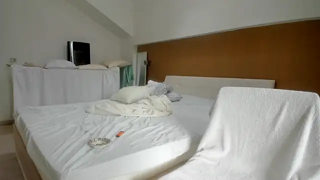 Snapshot of woolfiie chatting on October 16, 8:37 am woolfiie online show from October 16, 8:37 am