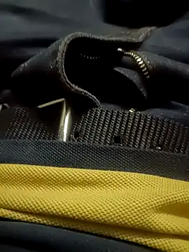 Javedmax online show from November 22, 12:48 pm