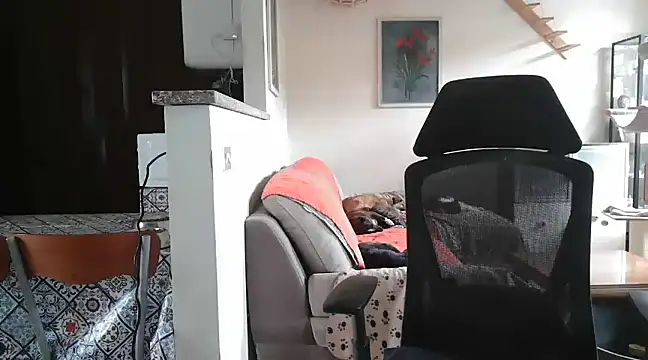 Snapshot of simona60 chatting on February 23, 2:14 pm simona60 online show from February 23, 2:14 pm