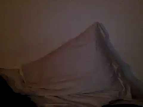 Snapshot of FelipeRiver chatting on January 22, 1:20 am FelipeRiver online show from January 22, 1:20 am