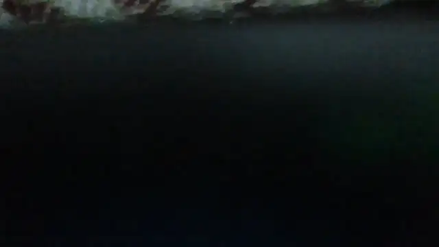 Snapshot of Leo_Big chatting on September 23, 11:19 pm Leo Big online show from September 23, 11:19 pm