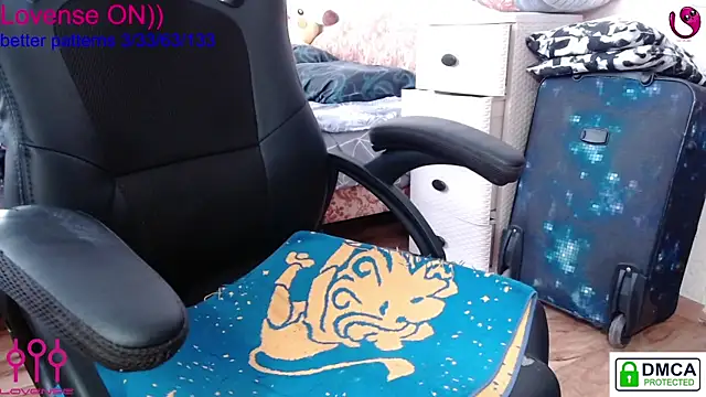 sweet cute cat online show from February 13, 8:38 am