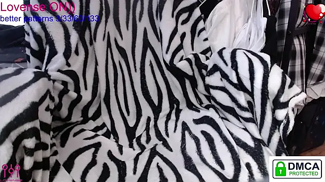 sweet cute cat online show from January 18, 10:30 am