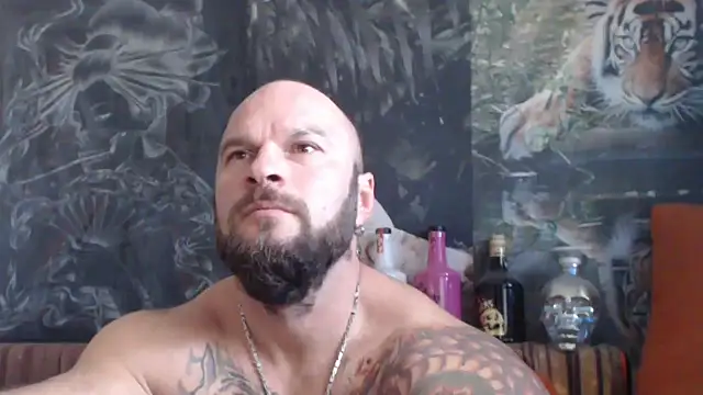 viking 30 online show from October 21, 5:52 am