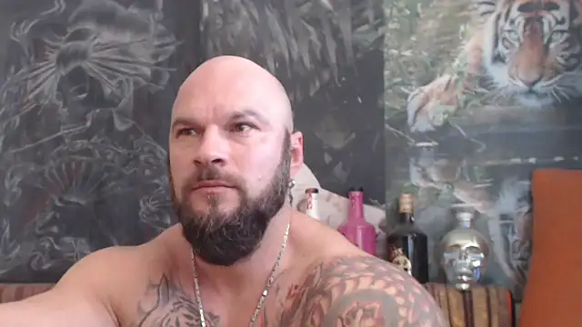 viking 30 online show from November 2, 10:28 am