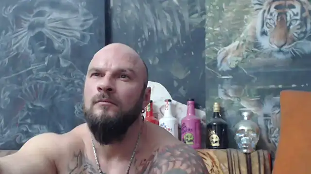 viking 30 online show from November 14, 7:56 pm