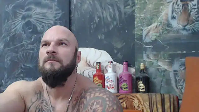 viking 30 online show from December 1, 1:49 pm