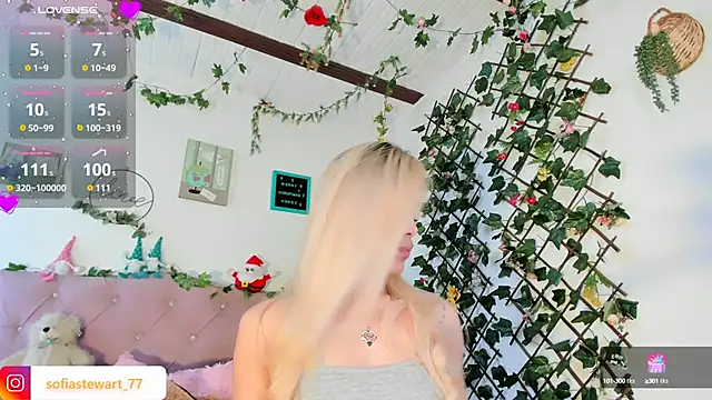steewart  online show from December 27, 2:25 am
