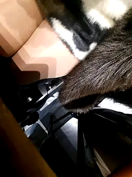 Snapshot of Dirtyfeelin chatting on November 18, 2:43 pm Dirtyfeelin online show from November 18, 2:43 pm