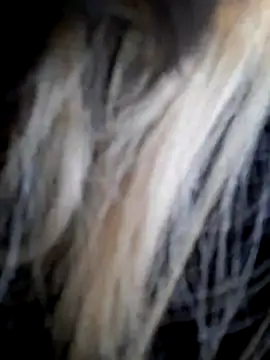 Snapshot of Dirtyfeelin chatting on December 14, 11:59 am Dirtyfeelin online show from December 14, 11:59 am