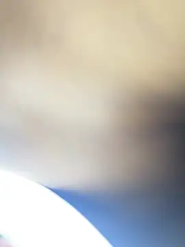 roman and jessie online show from June 29, 6:41 am