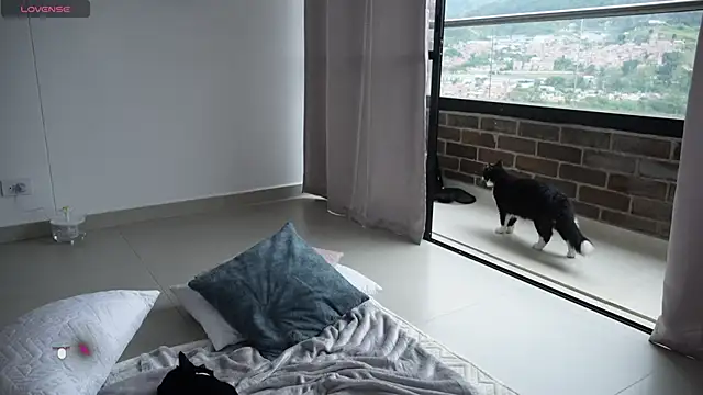 Snapshot of Veronica_ar chatting on February 12, 7:24 pm Veronica ar online show from February 12, 7:24 pm