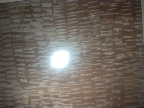 Snapshot of catdool chatting on September 22, 5:04 pm catdool online show from September 22, 5:04 pm