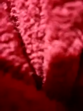 Snapshot of modelo38528061 chatting on December 14, 1:49 pm modelo38528061 online show from December 14, 1:49 pm