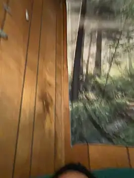 ScottyOne17 online show from March 17, 3:11 am