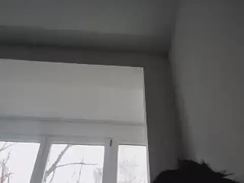 FallenDevil online show from January 25, 11:55 am