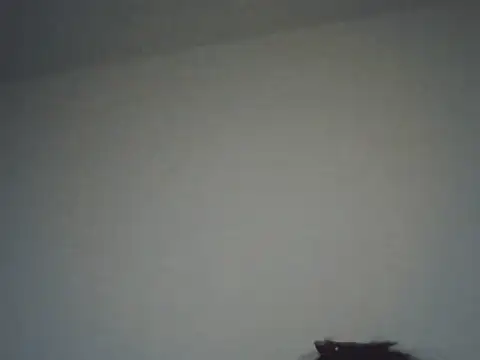 FallenDevil online show from November 16, 8:14 pm