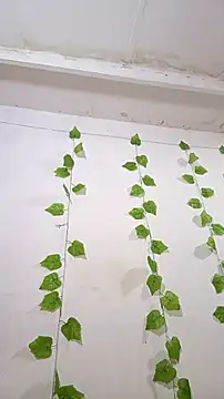 shayna all online show from November 25, 6:08 pm