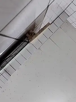 cindy01113520 online show from October 2, 2:57 pm