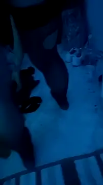 Misspadrona88 online show from December 13, 10:37 pm