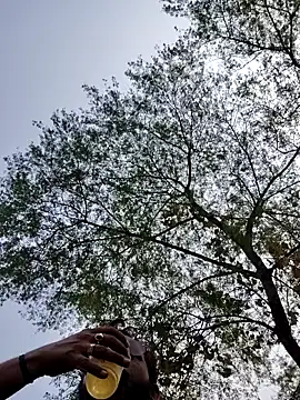 Eroticdick69 online show from October 16, 7:42 am