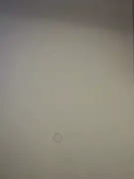 curchez  online show from January 7, 2:10 am