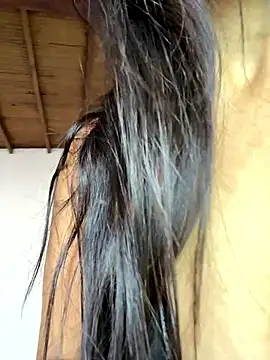 pleasureMyAss- online show from January 17, 5:27 pm