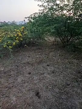 Snapshot of rameshmry1 chatting on March 5, 12:34 pm rameshmry1 online show from March 5, 12:34 pm