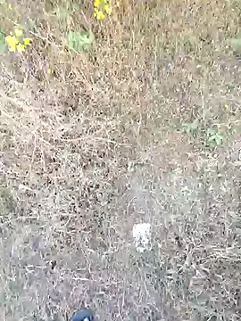 Snapshot of rameshmry1 chatting on March 21, 12:10 pm rameshmry1 online show from March 21, 12:10 pm