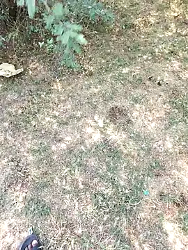 Snapshot of rameshmry1 chatting on March 29, 5:29 am rameshmry1 online show from March 29, 5:29 am