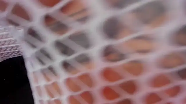 rosalia-04 online show from November 10, 6:07 pm