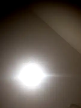 sua sub  online show from November 5, 11:43 am