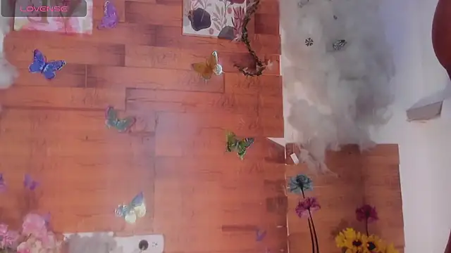 kelly thomson online show from January 28, 4:18 am