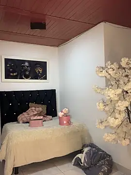 Ambar pe  online show from November 4, 2:32 am