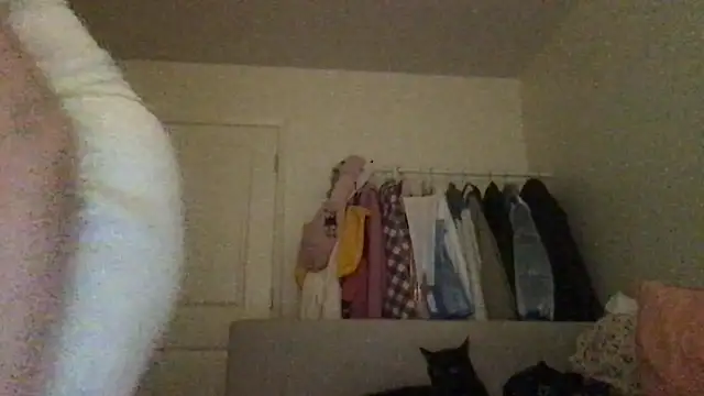 HYPHYtype online show from September 23, 7:44 am