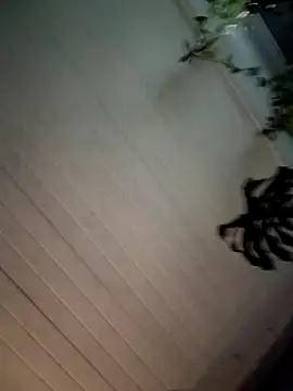 Nikkierosee online show from December 14, 10:56 am