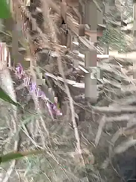 Snapshot of FinableKnee chatting on September 18, 4:47 am FinableKnee online show from September 18, 4:47 am