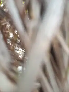 Snapshot of FinableKnee chatting on September 19, 4:47 am FinableKnee online show from September 19, 4:47 am