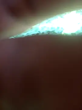 Snapshot of FinableKnee chatting on September 24, 5:00 am FinableKnee online show from September 24, 5:00 am