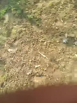 Snapshot of FinableKnee chatting on October 27, 5:11 am FinableKnee online show from October 27, 5:11 am