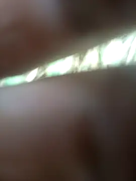 Snapshot of FinableKnee chatting on November 21, 6:34 am FinableKnee online show from November 21, 6:34 am