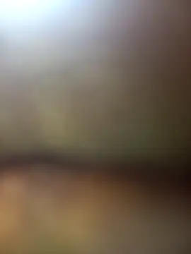 Snapshot of FinableKnee chatting on November 27, 5:31 am FinableKnee online show from November 27, 5:31 am