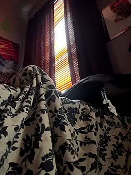 Snapshot of spideyzaddy chatting on November 26, 4:41 pm spideyzaddy online show from November 26, 4:41 pm