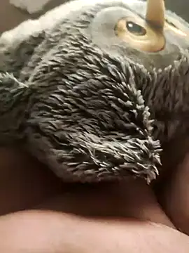 Snapshot of faphouse186582 chatting on January 24, 5:10 am faphouse186582 online show from January 24, 5:10 am